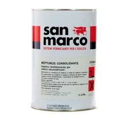 NEPTUNUS CONSOLIDANTE